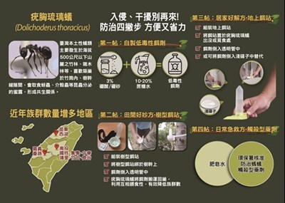 疣胸琉璃蟻驅蟻防治